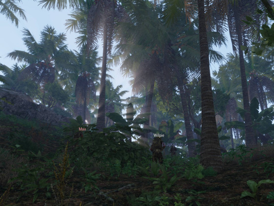 Dschungel-Patrouille