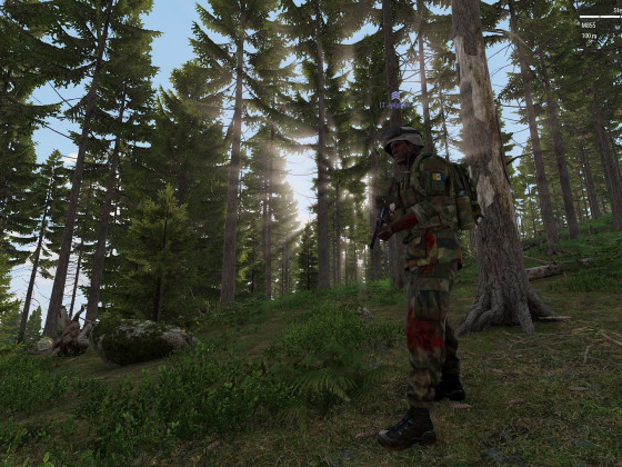 Operation STEEL FOX